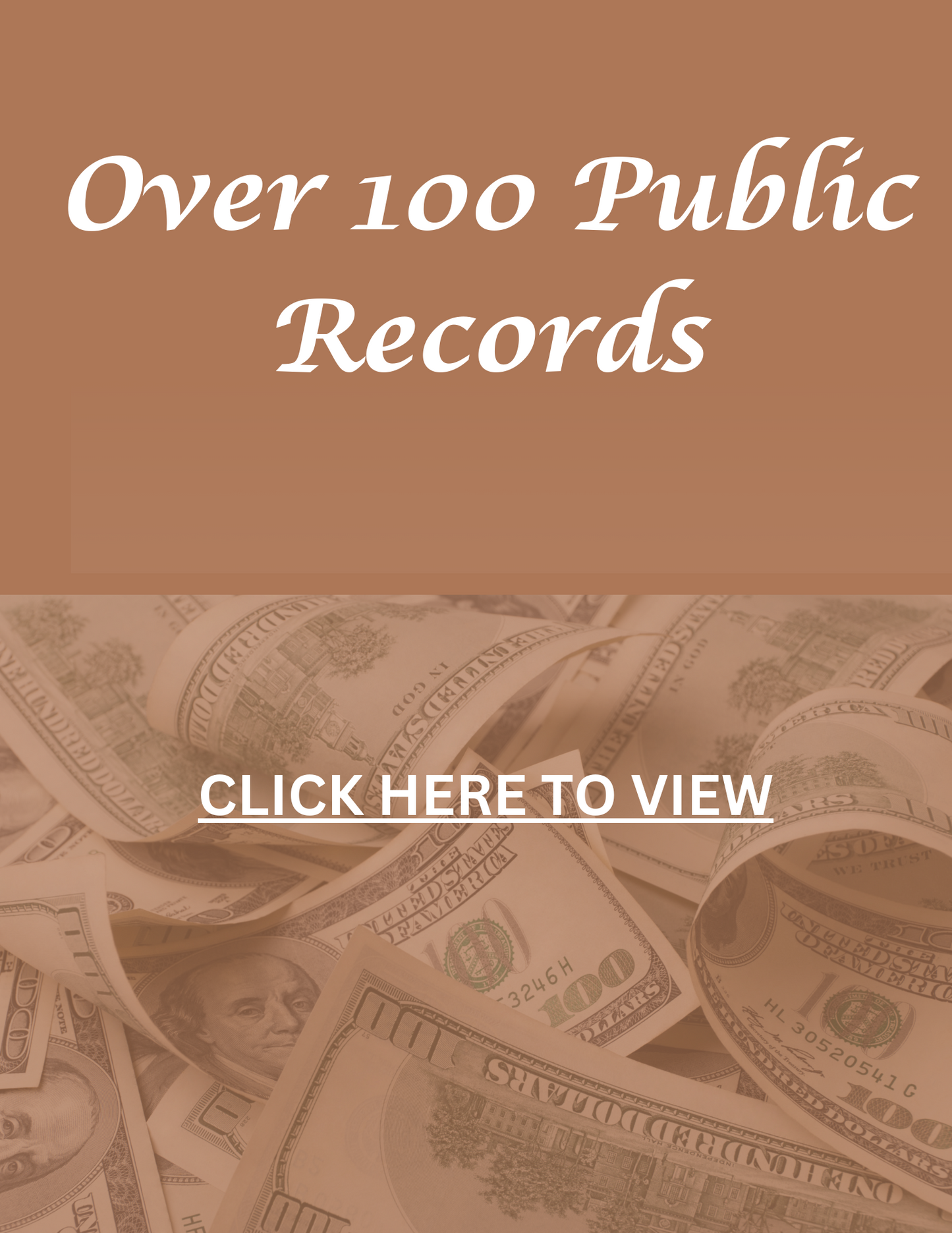 Public Records