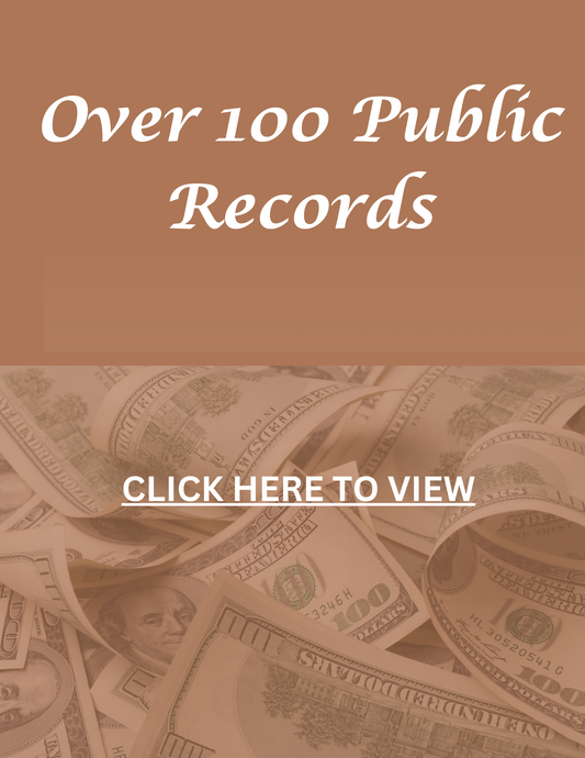 Public Records